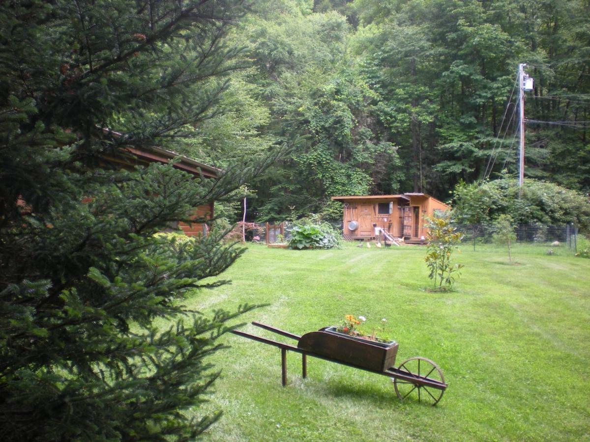 Buffalo Creek Bed And Breakfast Junction Exterior photo